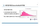 세기관지염 4페이지
