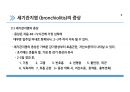 세기관지염 7페이지