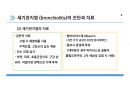 세기관지염 10페이지