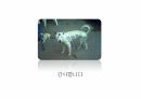 고객경험 마케팅 전략-2 32페이지