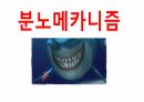 분노조절 앵그리버드 17페이지