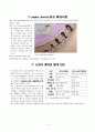 pepitc ulcer 소화성궤양 2페이지