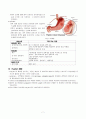 pepitc ulcer 소화성궤양 7페이지