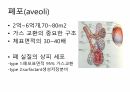 호흡기계간호(중환자실) 6페이지
