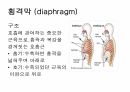 호흡기계간호(중환자실) 7페이지