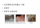 호흡기계간호(중환자실) 17페이지