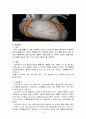 허혈성 심질환(협심증, 심근경색) 10페이지