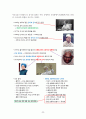 인도의 역사에 대해서 23페이지