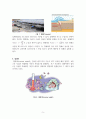 악기상(Severe weather) 5페이지