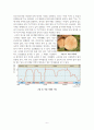 지질 시대와 환경 6페이지