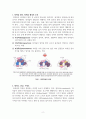 퇴적 구조와 퇴적 환경 2페이지