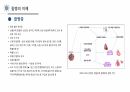 신종감염병(COVID-19) 28페이지