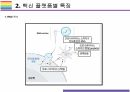 백신플랫폼 특징 [RNA백신,DNA백신,사백신,생백신,바이러스벡트,단백질] 8페이지