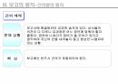 7가지 보고의 원칙을 읽고- 독후감,줄거리,요약,감상문,느낀점,서평 25페이지