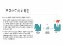 비타민 6페이지