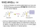 비타민 7페이지