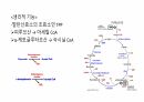 비타민 8페이지