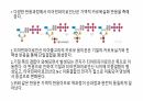 비타민 10페이지
