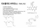 비타민 12페이지