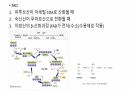 비타민 14페이지