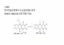 비타민 15페이지