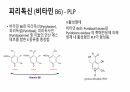 비타민 20페이지