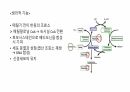 비타민 25페이지
