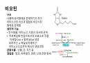비타민 28페이지
