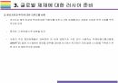주요국 대 러시아 제재가 국내외 경제에 미치는 영향(푸틴,러시아,우크라,러시아-우크라,대러제재) 14페이지