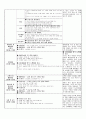 보육실습일지20일+일화기록+반일계획안 44페이지