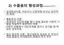 수줍음이 너무 많은 아동, 어떻게 해야 하나 11페이지
