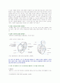 [컴퓨터의이해 2022] 1. 홈네트워킹과 스마트홈, 메타버스, 마이크로프로세서, 2. (가) 웨어러블 기기 중 한 가지를 선택하여 주요 용도, 입력장치, 출력장치에 대하여 설명, (나) 여러 가지 매트릭스 코드 중 QR코드를 포함하여 두 가지를 조사하여 설명하고, 본인의 학과, 본인의 이름, QR코드 만들기 9페이지