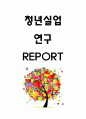 청년실업 개념,원인분석 및 청년실업 문제점과 해결방안 제시 및 나의생각 - 청년실업 연구레포트 1페이지