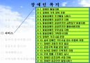 장애인 복지 32페이지