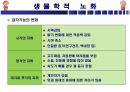 노화의 이해 13페이지