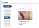 상처간호, 배액관 관리, 장루간호 12페이지