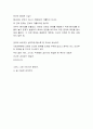 판탈레온과 특별봉사대 독후감 3페이지