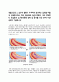 생활과건강 기말 2022] 심혈관계의 해부생리적 특성, 협심증과 심근경색증, 간의 주요 기능을 6가지, 인간관계 갈등 해결에 효과적인 기법 두 가지 -생활과건강 4페이지
