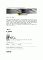 CAOD Case study, 간호진단,과정 각 2개씩 15페이지