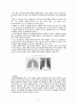 만성폐쇄성폐질환(COPD) 케이스 CASESTUDY 성인실습 내과실습 3페이지