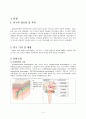 뇌내출혈 간호진단 CASE 3페이지