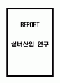 실버산업 개념,특성,유형분석 및 해외 실버산업 사례분석과 우리나라 실버산업 문제점과 개선방안 제시 1페이지