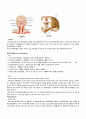 [A+] 성인간호학 뇌경색 (Lt-MCA territory Infarction) 케이스 스터디 간호진단 2개 간호과정 2개 부동과 관련된 피부손상, 우측사지 마비와 관련된 활동지속성 장애련된 피부손상 3페이지