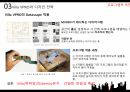 villa VPRO 분석 11페이지