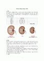 CKD(만성 신장 질환)보고서 2페이지