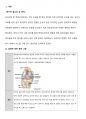 전방십자인대파열 케이스 3페이지