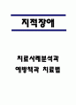 지적장애 원인과 특징 및 지적장애아동 치료사례분석과 지적장애 예방책과 치료법 1페이지