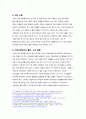 수도권규제완화 반대 레포트 4페이지