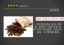 맥도날드 마케팅 다각화 전략 8페이지