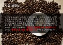 맥도날드 마케팅 다각화 전략 15페이지
